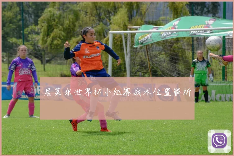 居莱尔世界杯小组赛战术位置解析