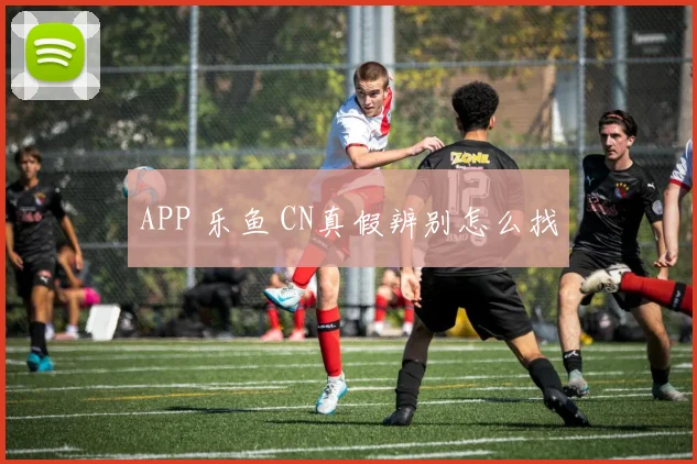 APP 乐鱼 CN真假辨别怎么找