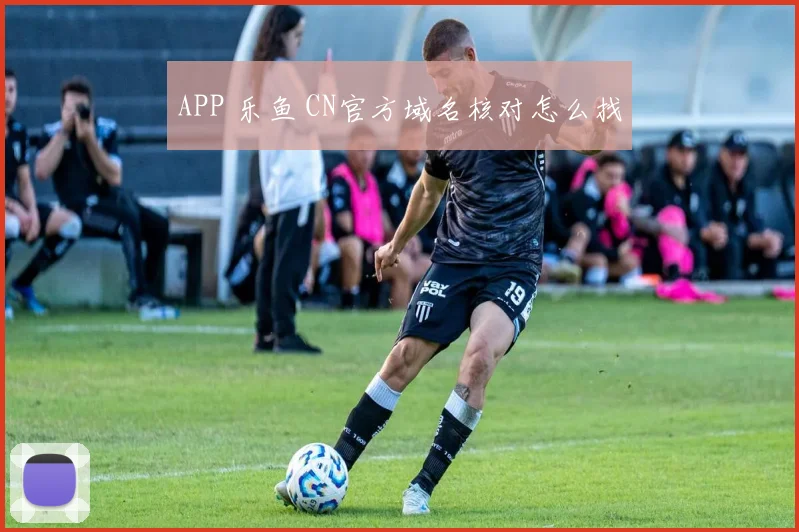 APP 乐鱼 CN官方域名核对怎么找