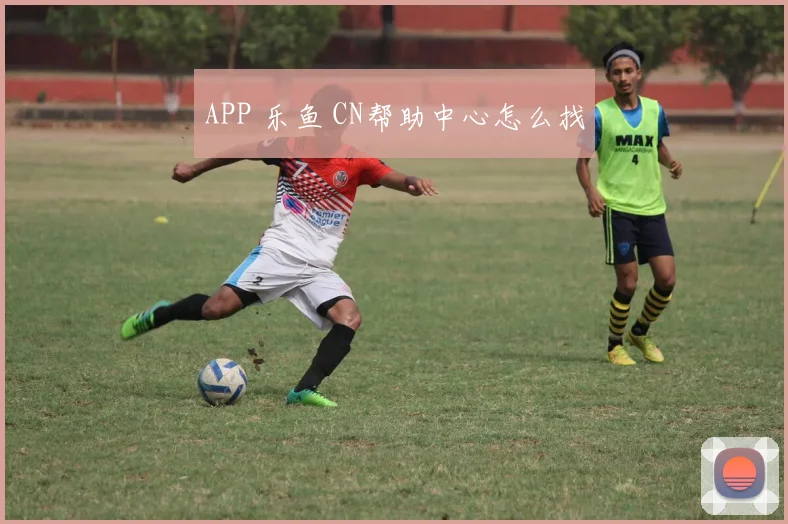 APP 乐鱼 CN帮助中心怎么找