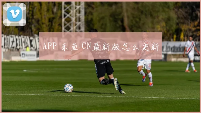 APP 乐鱼 CN最新版怎么更新