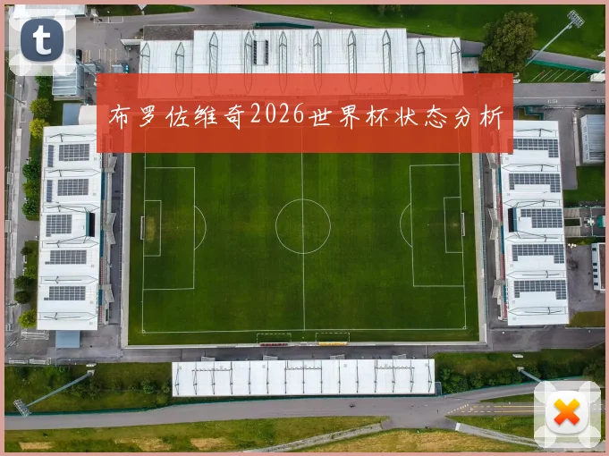 布罗佐维奇2026世界杯状态分析