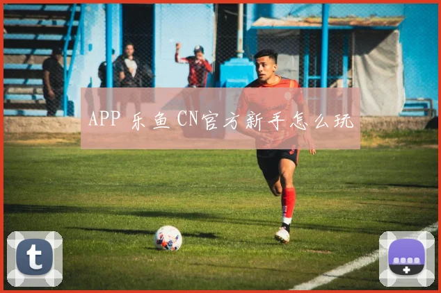 APP 乐鱼 CN官方新手怎么玩