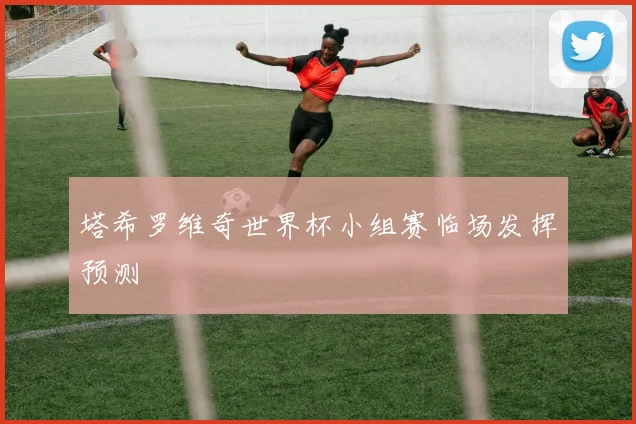 塔希罗维奇世界杯小组赛临场发挥预测